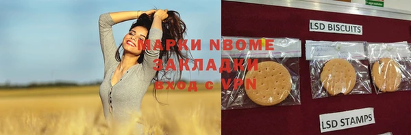 дмт Кодинск