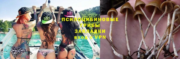 не бодяженный Козельск