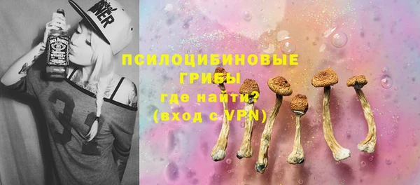 дмт Кодинск